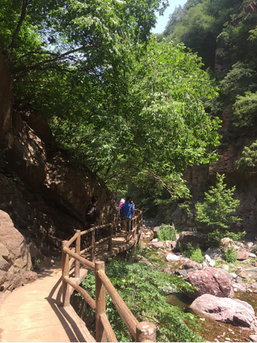 1701328703814535.jpg 1701328613272.jpg