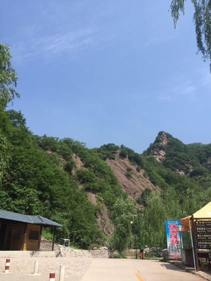 1701328744581027.jpg 1701328653621.jpg