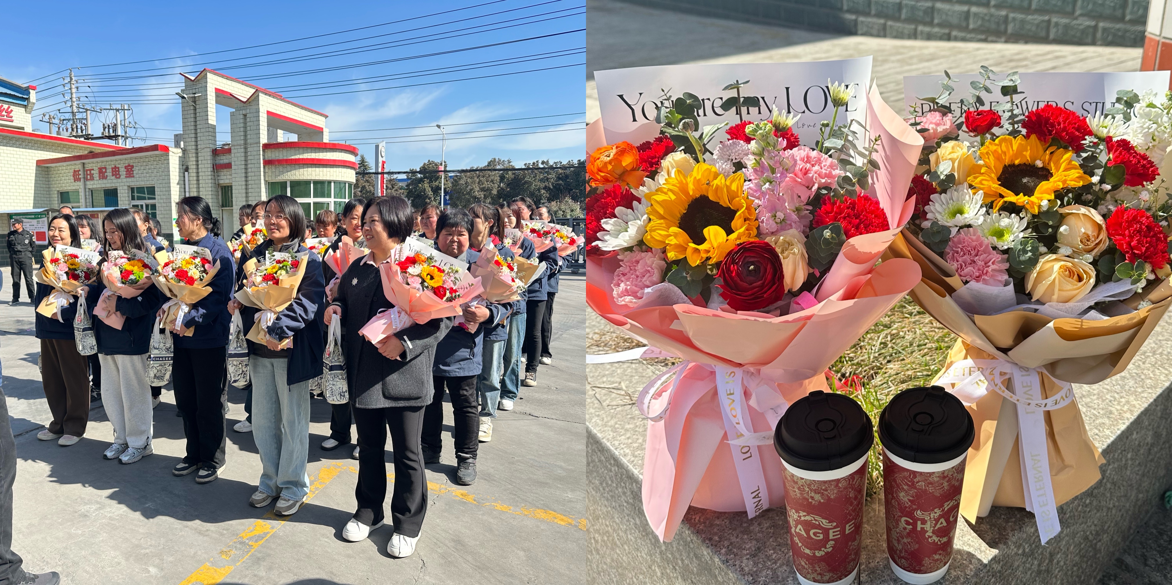 1709879742470580.jpg 1709879742470580.jpg